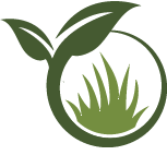 Magnolia Tree Planting Pros