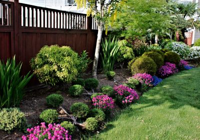 Cedar Mulch Installation in Honolulu, HI