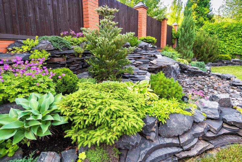 Dryscape Landscaping in Ventura County, CA